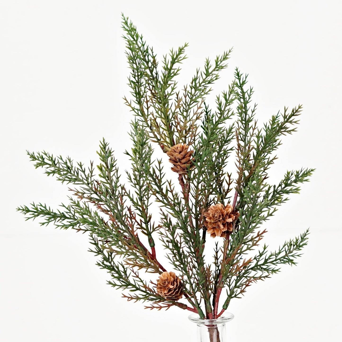 Dark Green Country Cypress Pine w. Pinecone