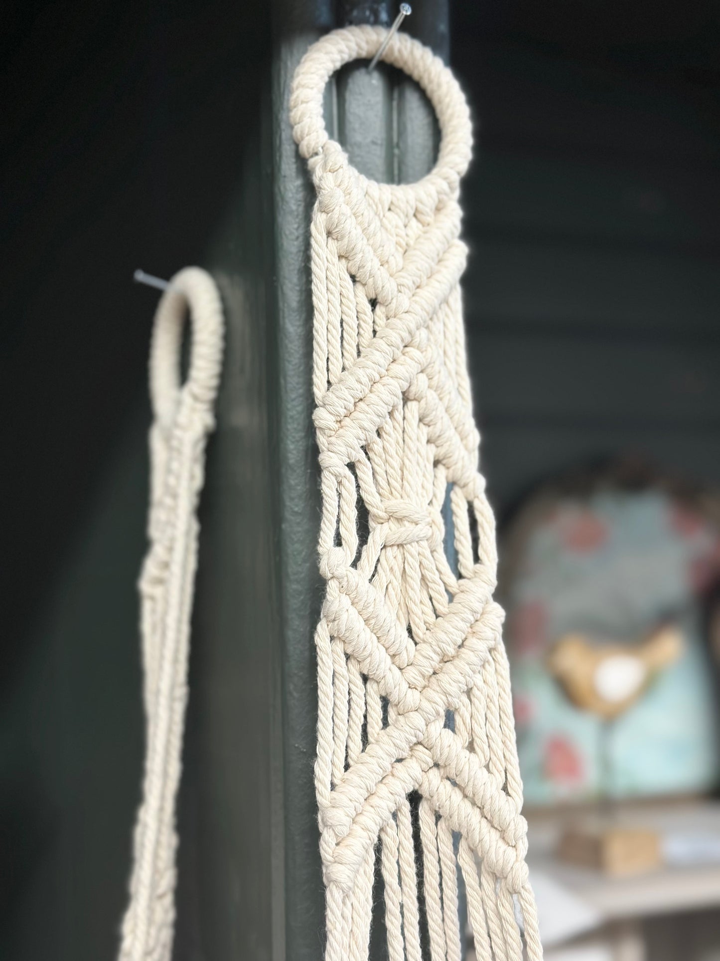 Macrame Plant Hanger, assorted
