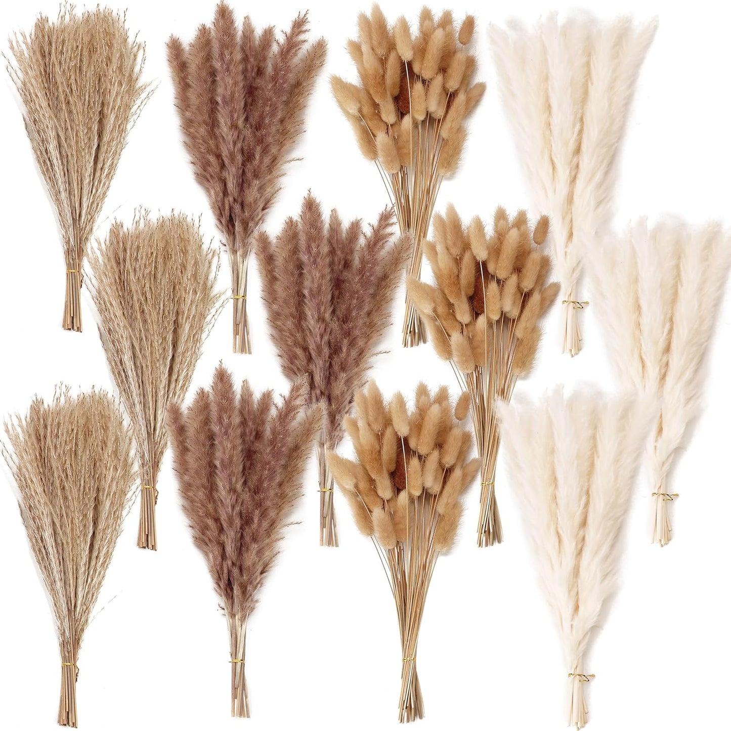Dried Pampas Grass, Assorted