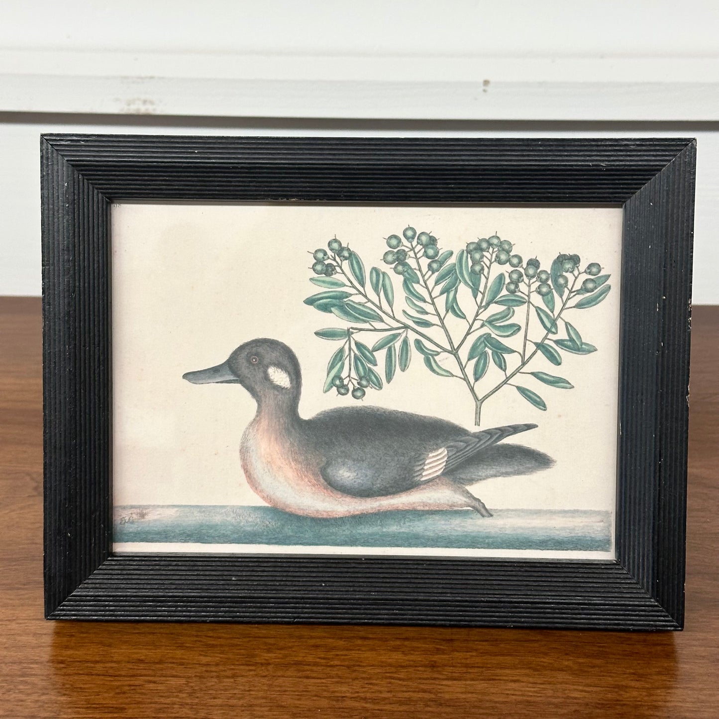 Brown Duck Antique Framed Art