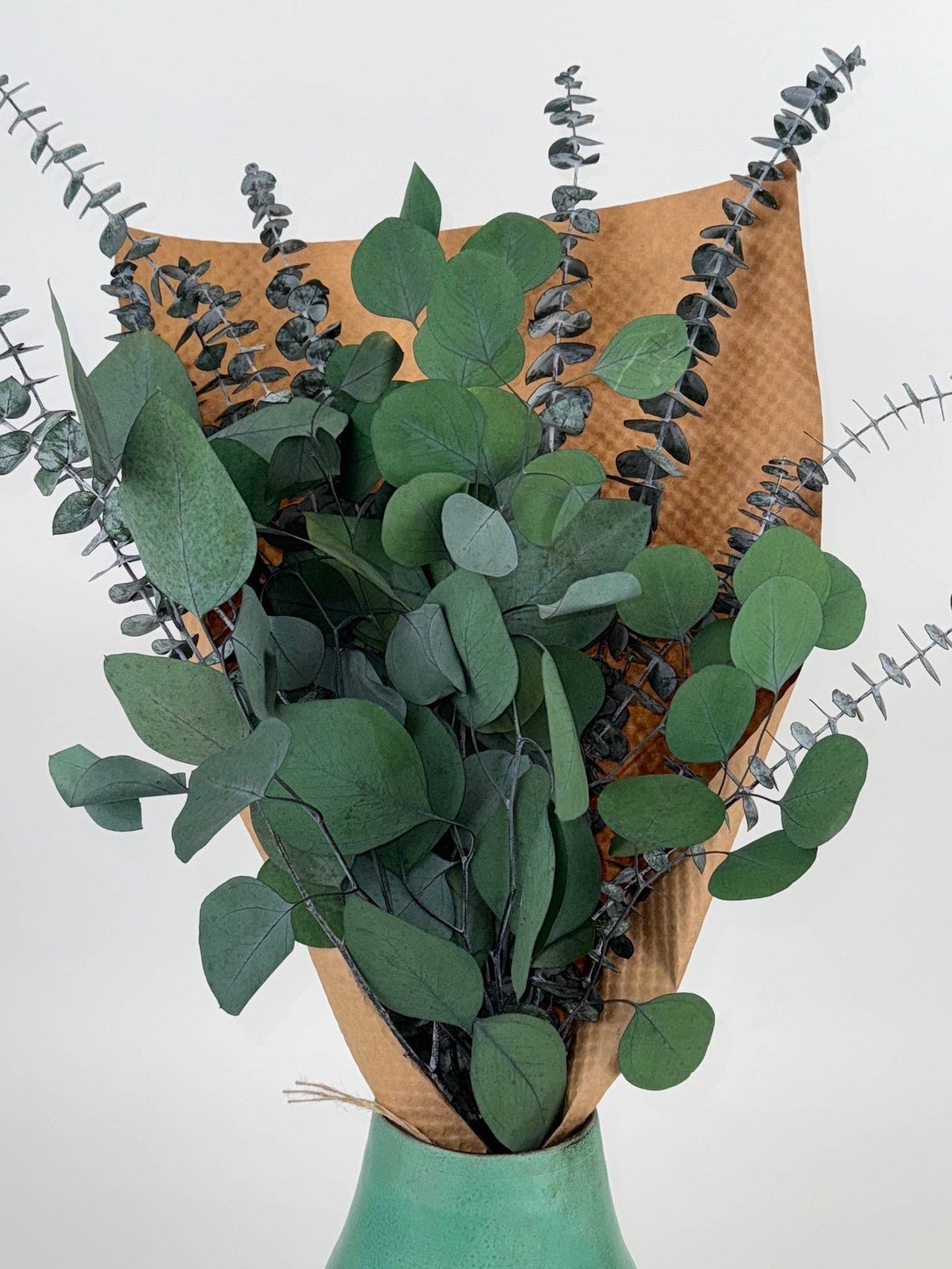 Silver Dollar & Baby Eucalyptus 8 ounce Preserved Bundle