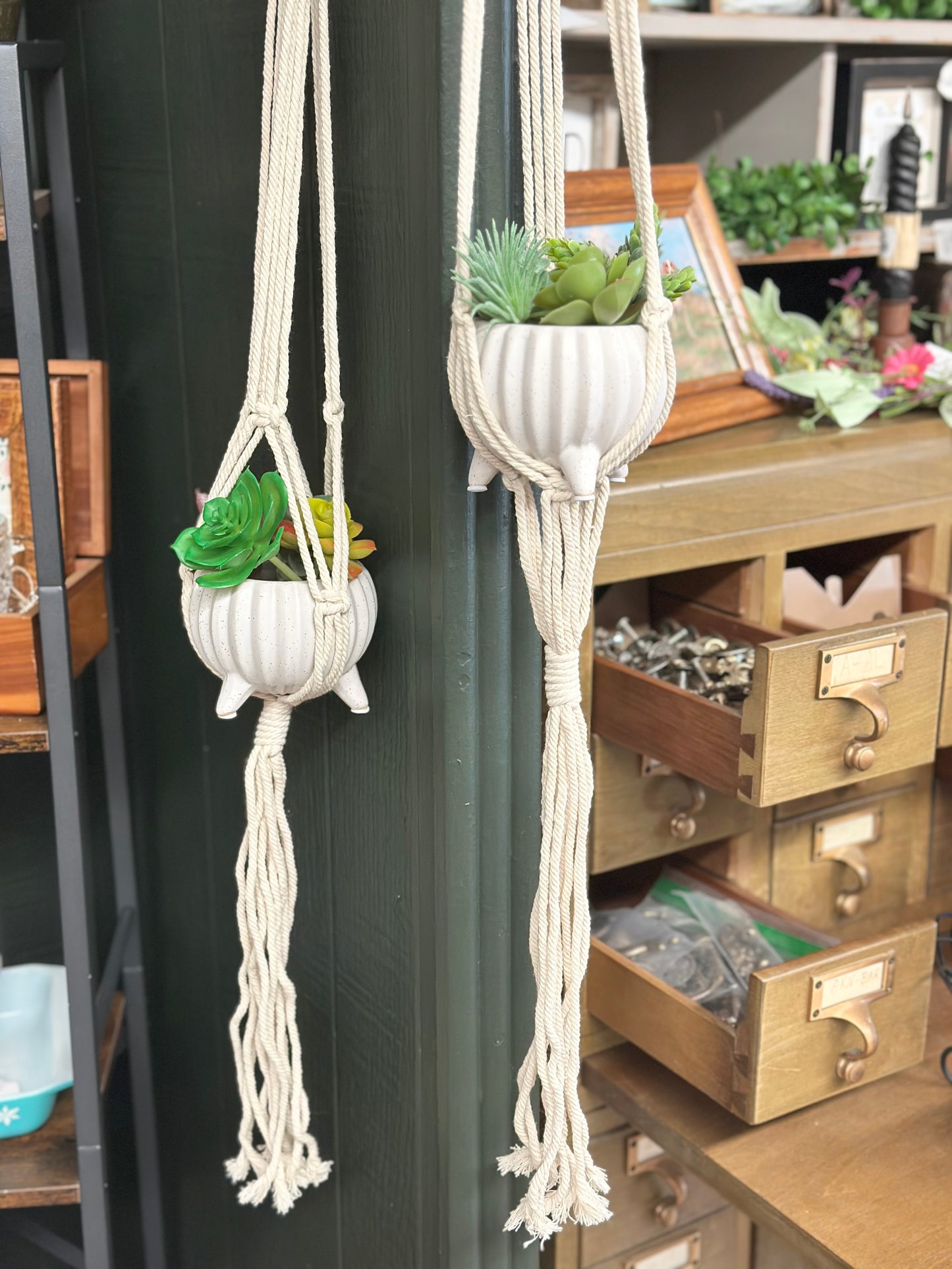 Macrame Plant Hanger, assorted