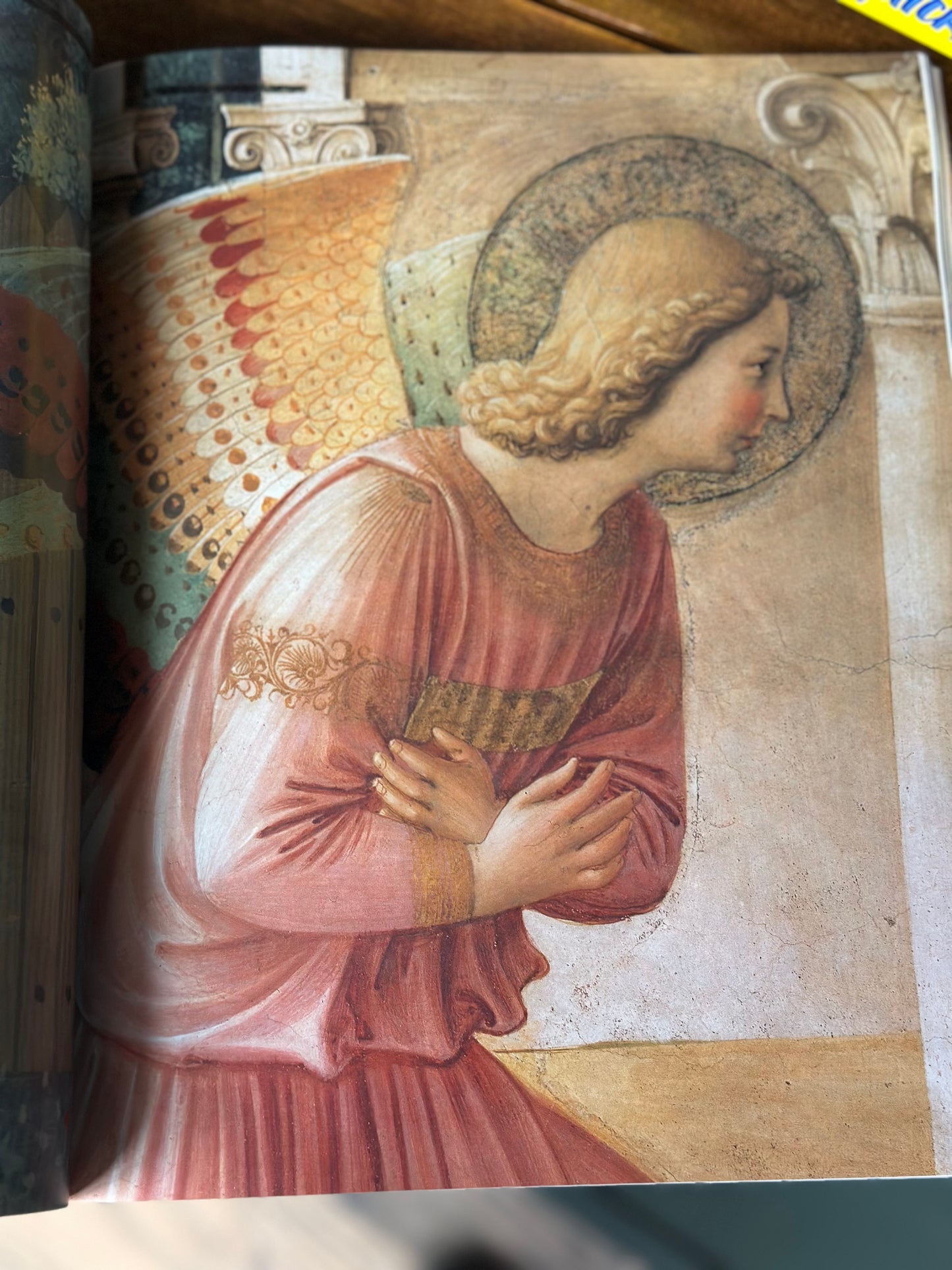 Vintage Florence & the Renaissance Book