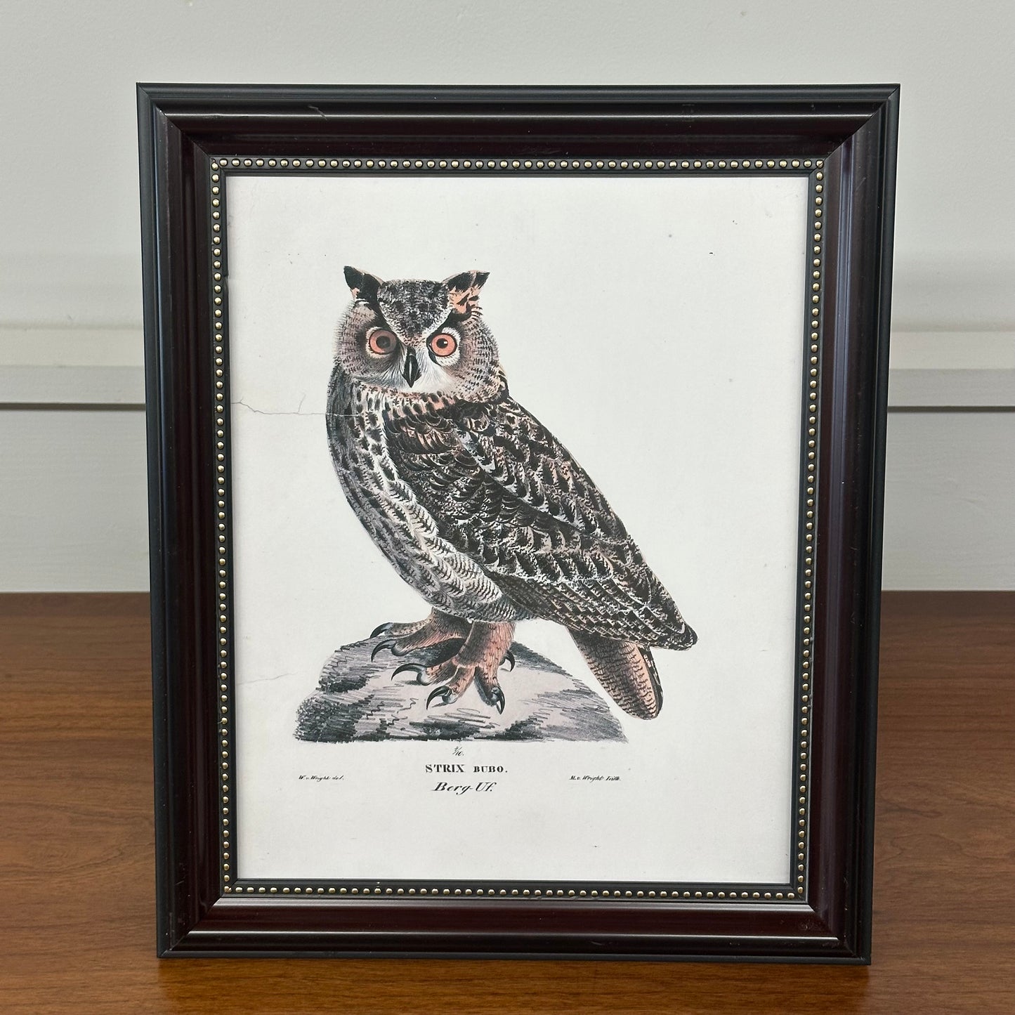 Owl Antique Framed Art