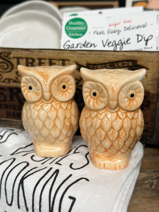 Vintage Ceramic Owl Salt & Pepper Shakers, set