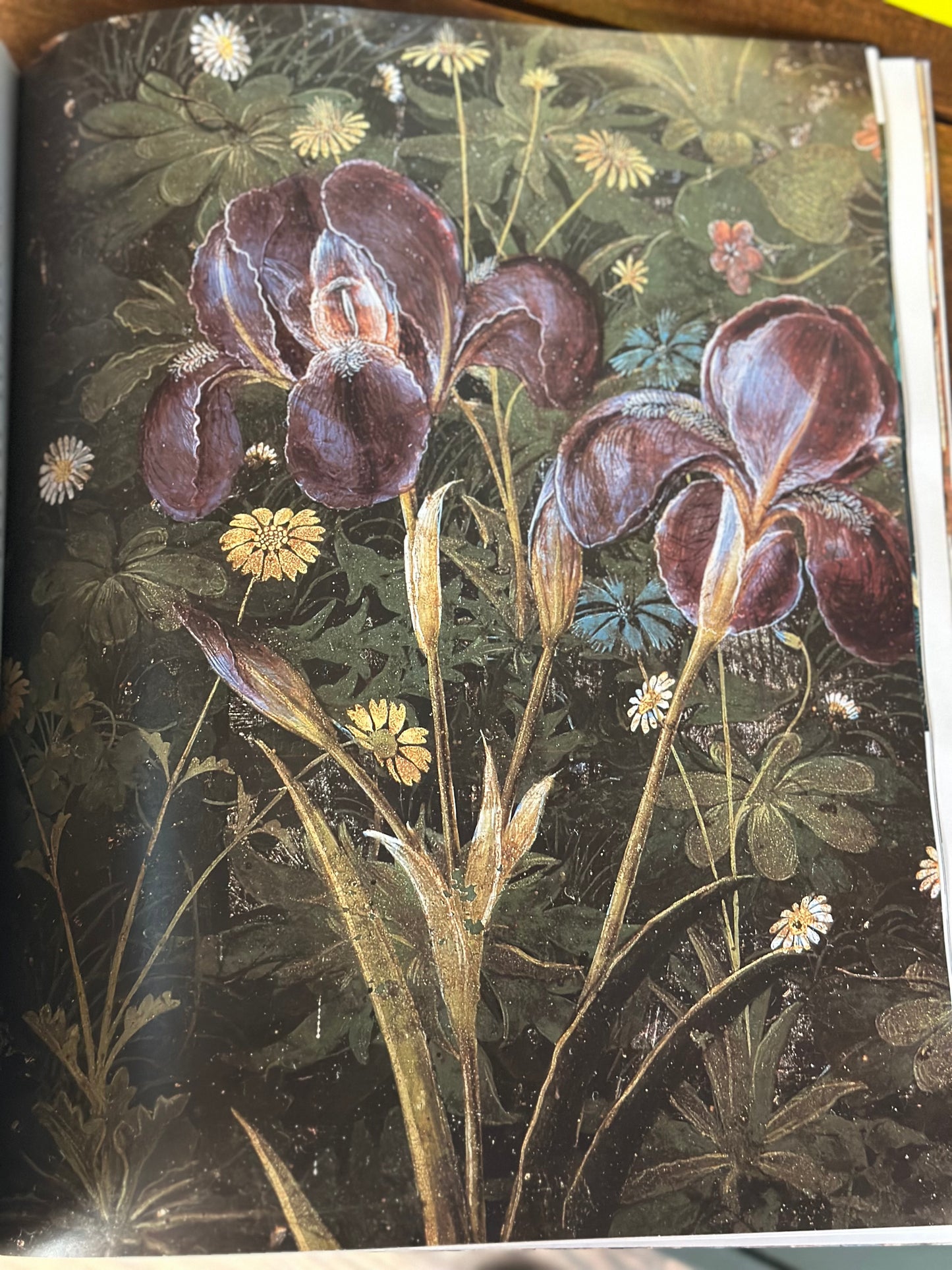 Vintage Florence & the Renaissance Book