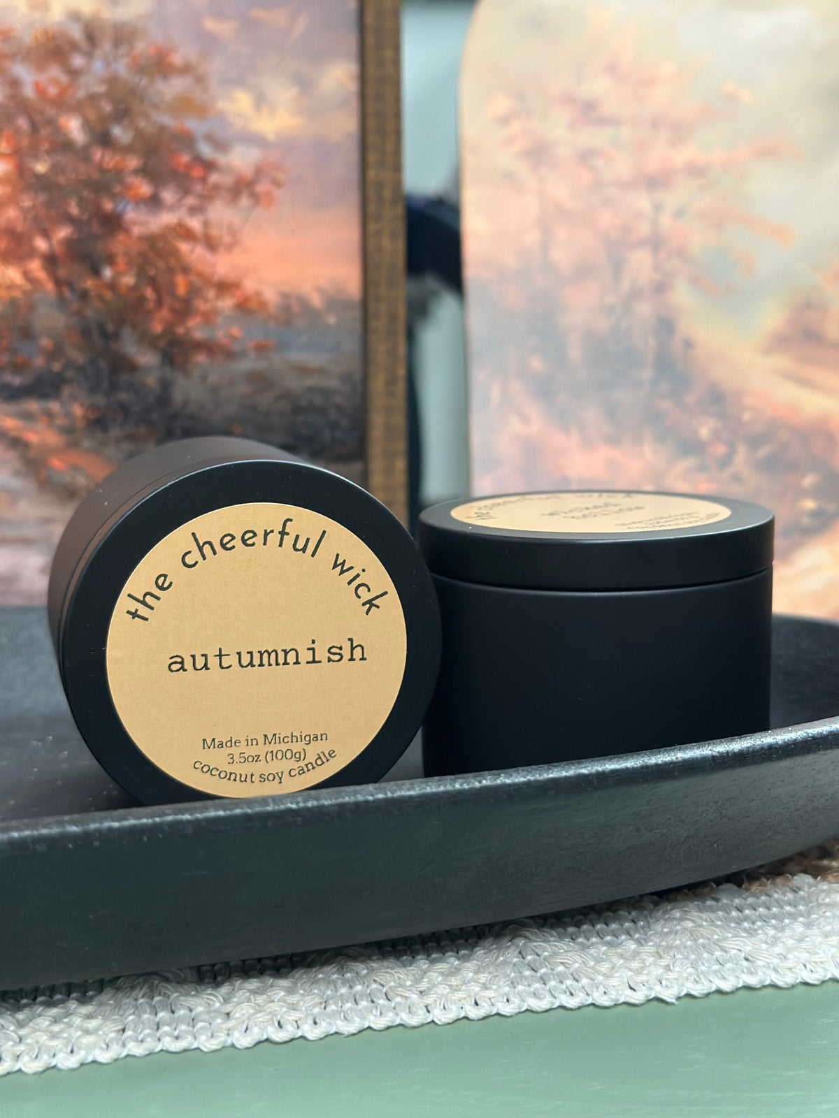 3.5oz Coconut Soy Candles