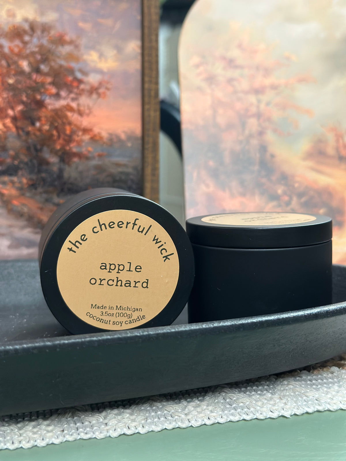 3.5oz Coconut Soy Candles