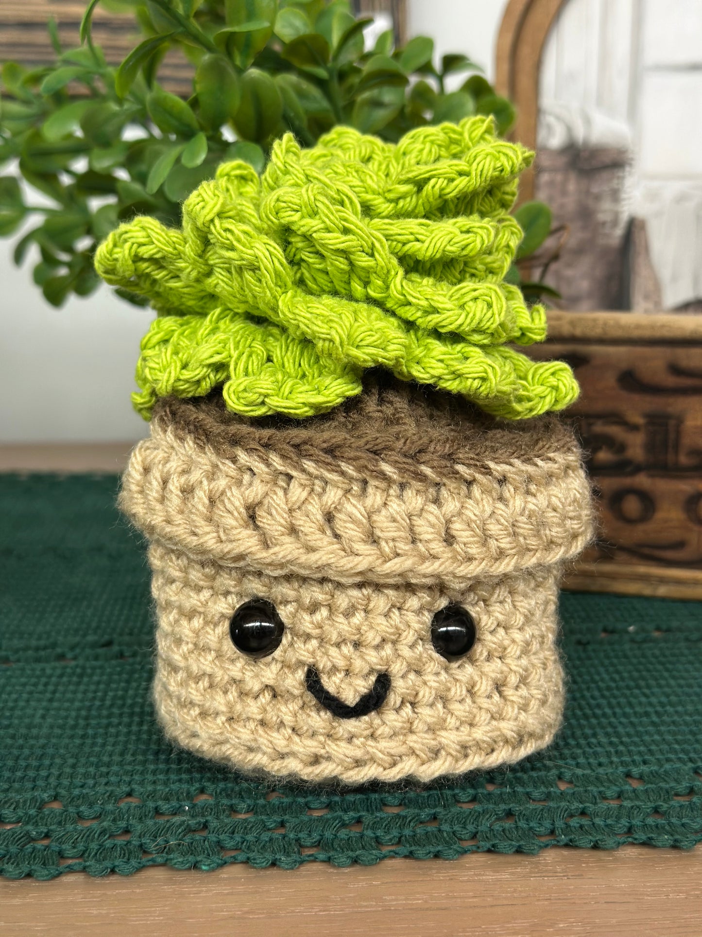 Amigurumi Succulent Pots