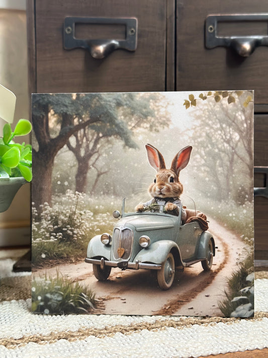 Cruisin Rabbit