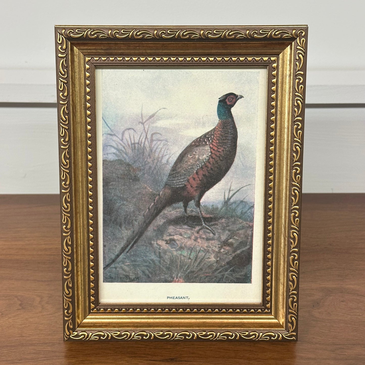 Wild Pheasant Framed Antique
