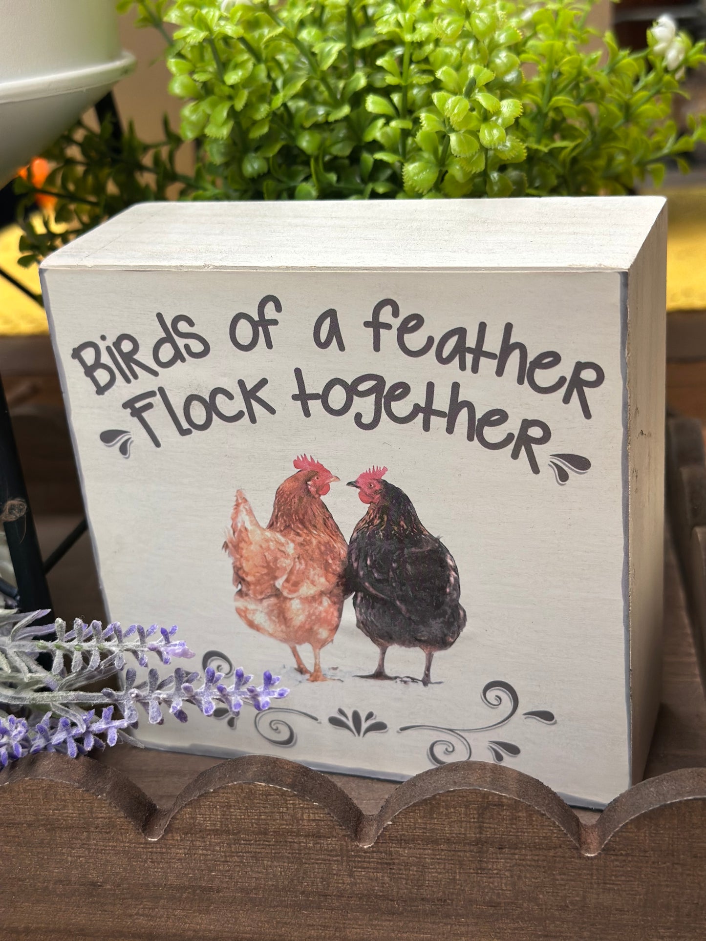 Chicken Shelf Sitter