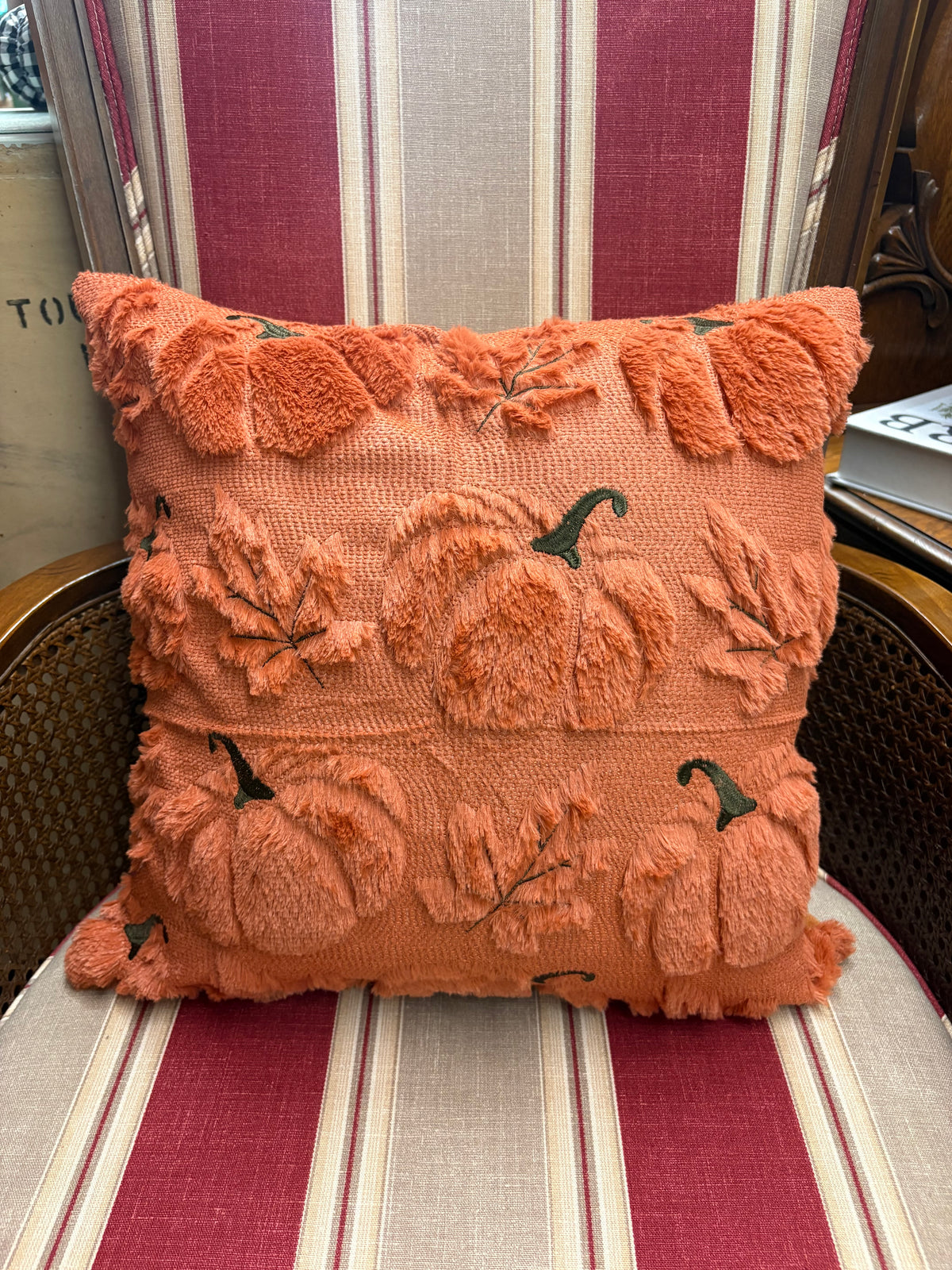 Fall/Halloween Pillows
