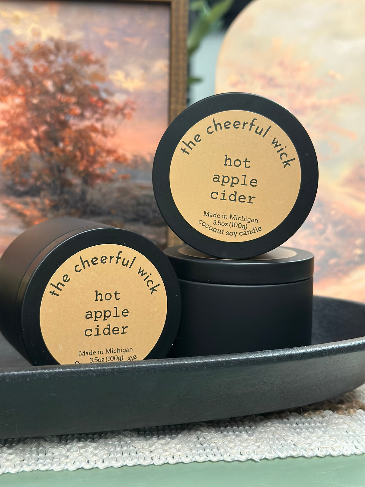 3.5oz Coconut Soy Candles