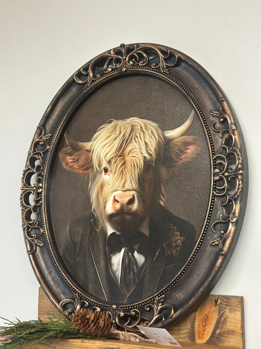 Sophisticated Highland Cow