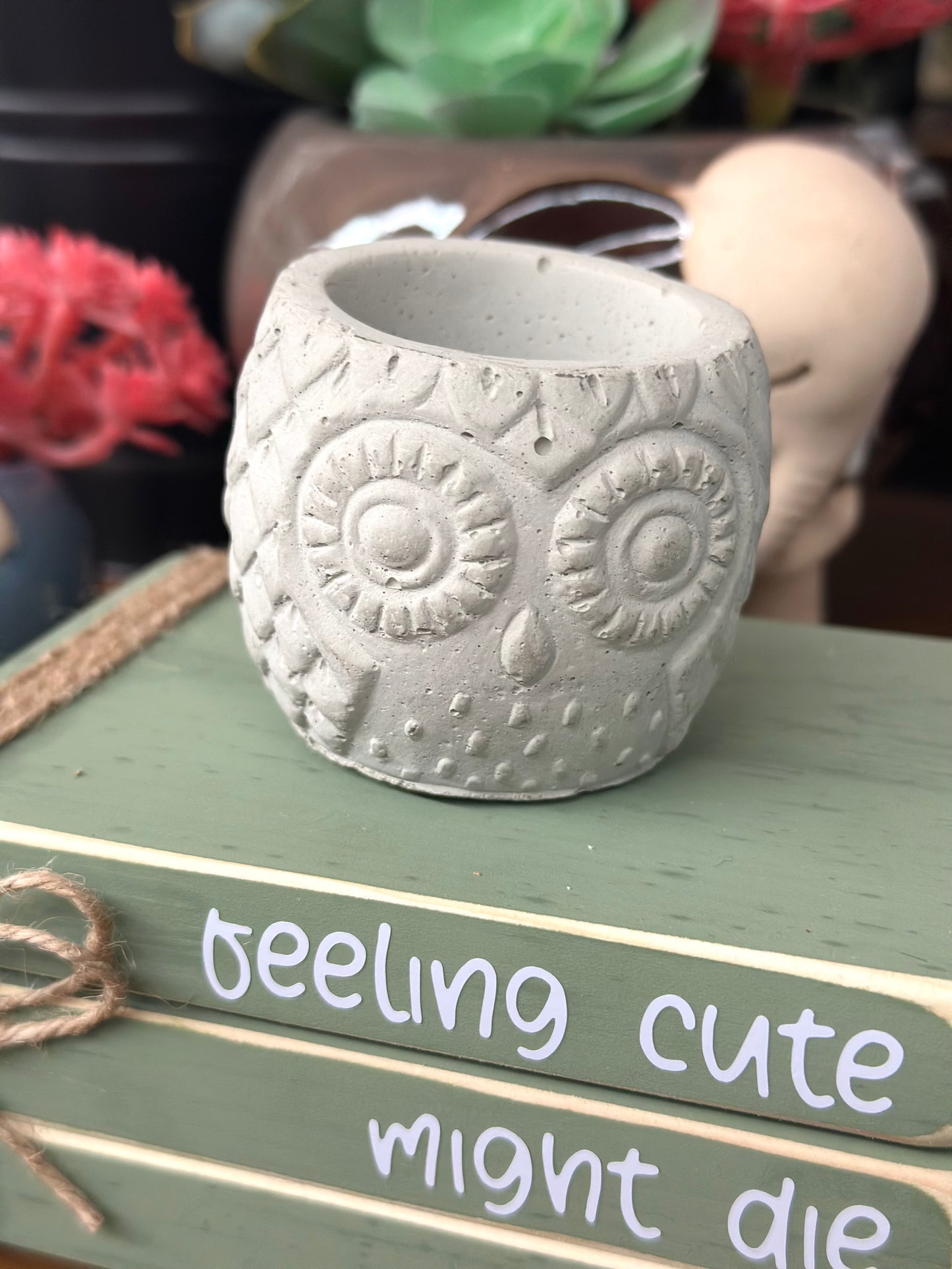 Cement Owl Planter