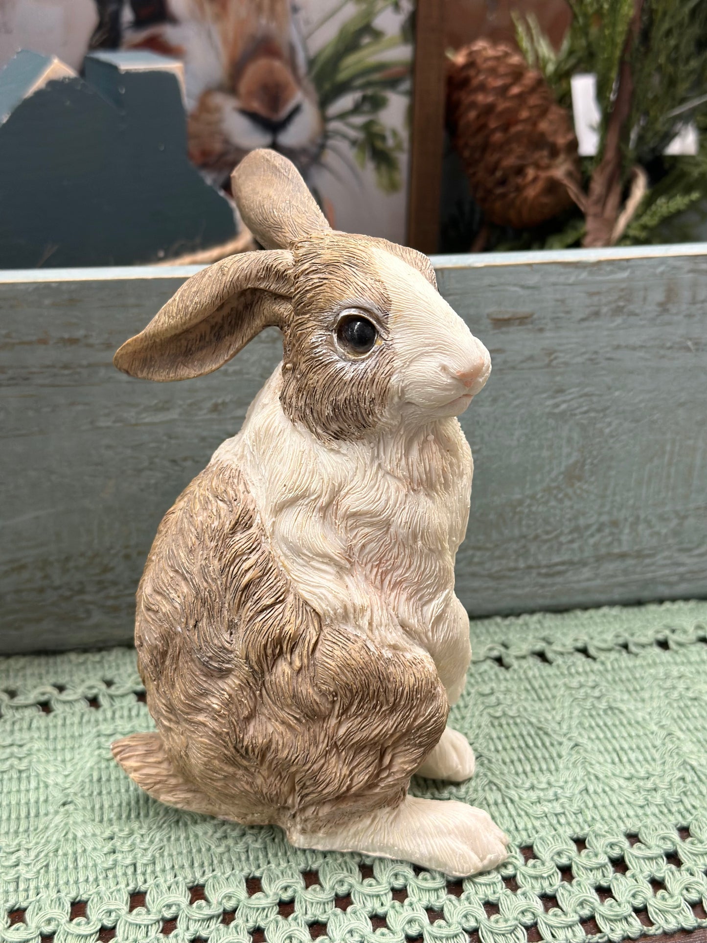 Sitting Rabbit