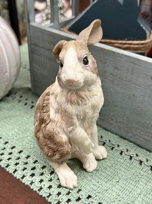 Sitting Rabbit