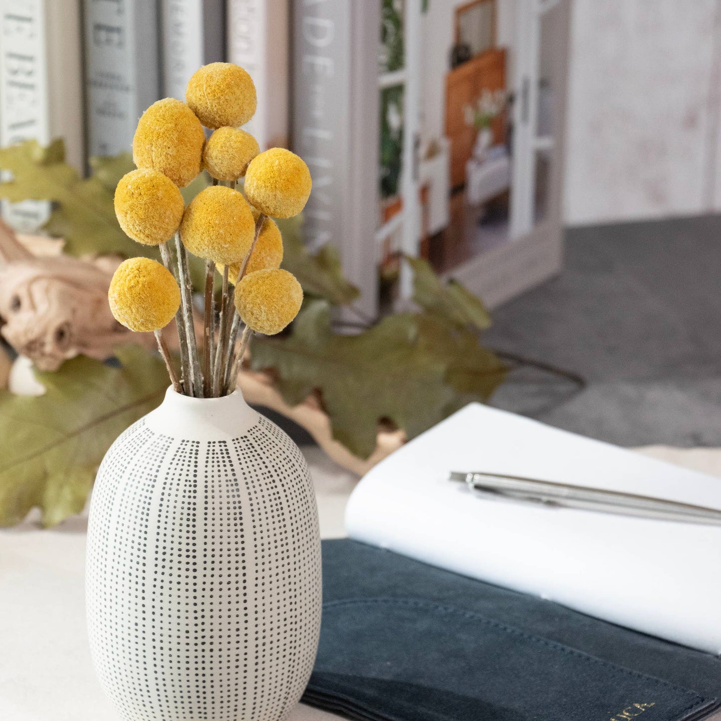 MINI Billy Button Bundle #81