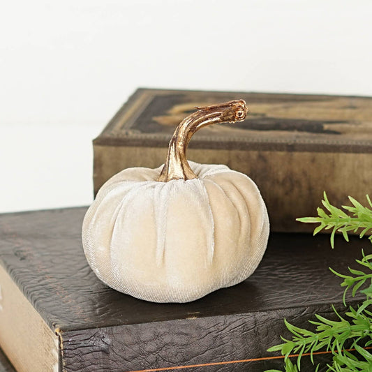 Tan Velvet Pumpkin
