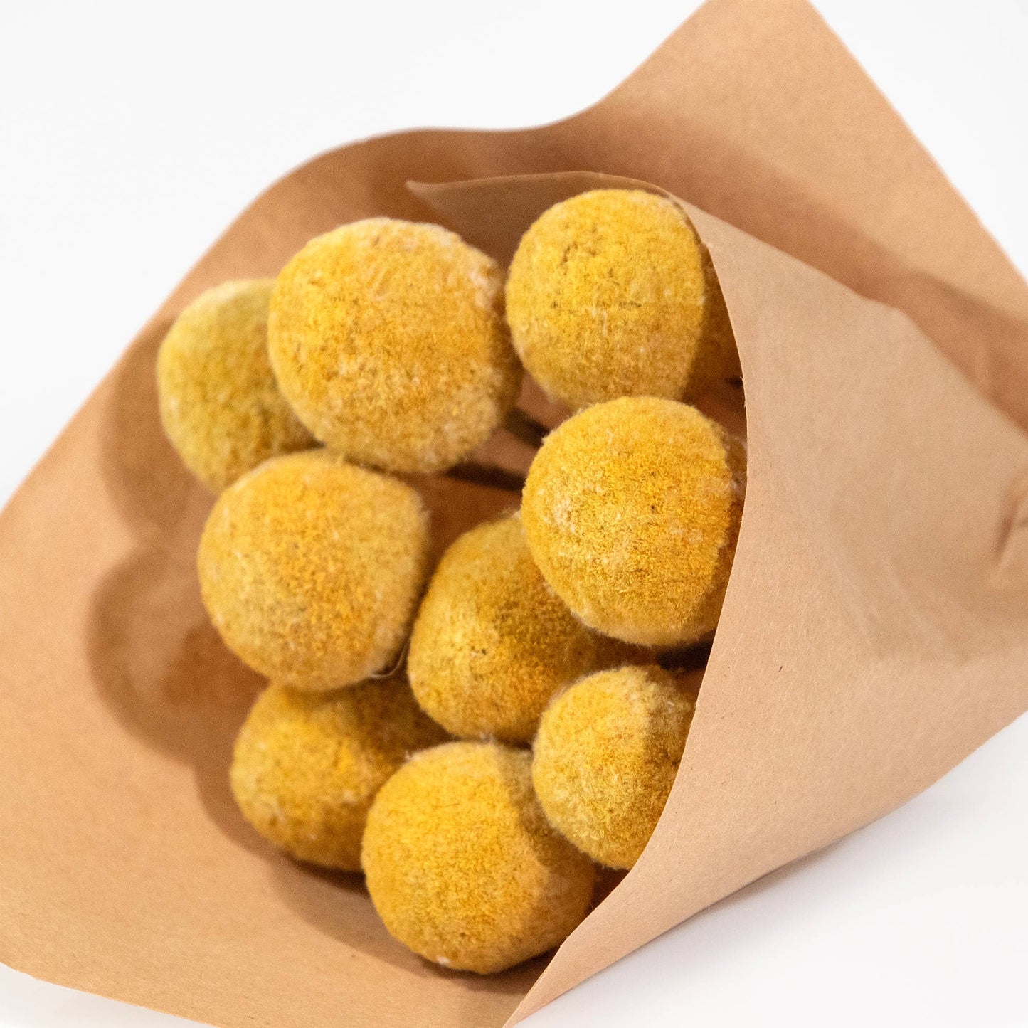 MINI Billy Button Bundle #81