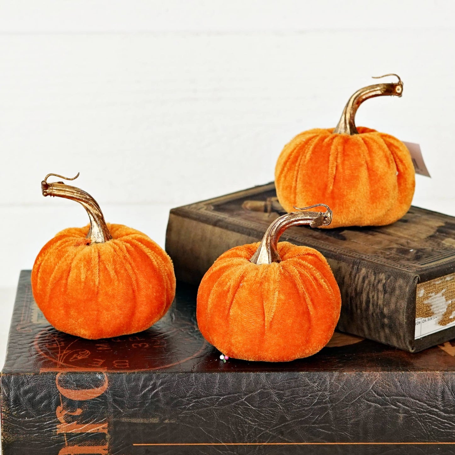 Orange velvet pumpkin w. golden stem