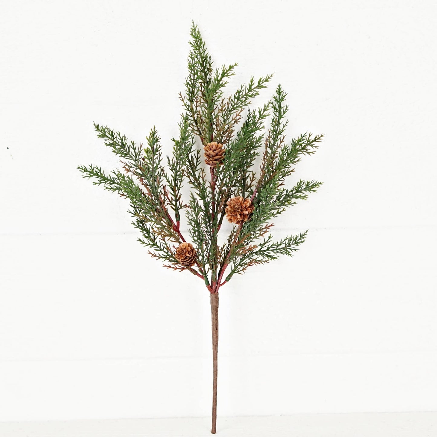 Dark Green Country Cypress Pine w. Pinecone