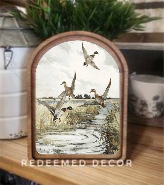Mallard Ducks Framed Art- Arch