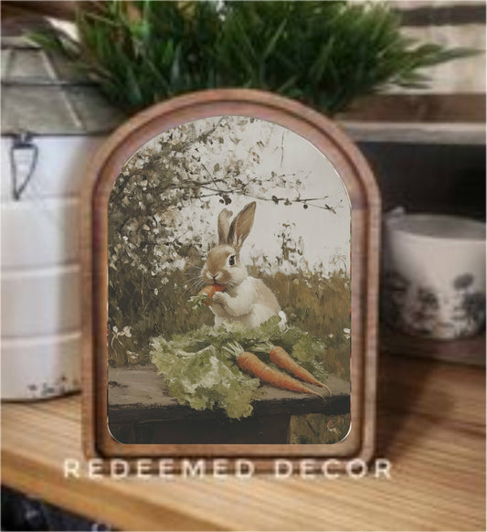 Bunny w/ Carrots Framed Art- Arch