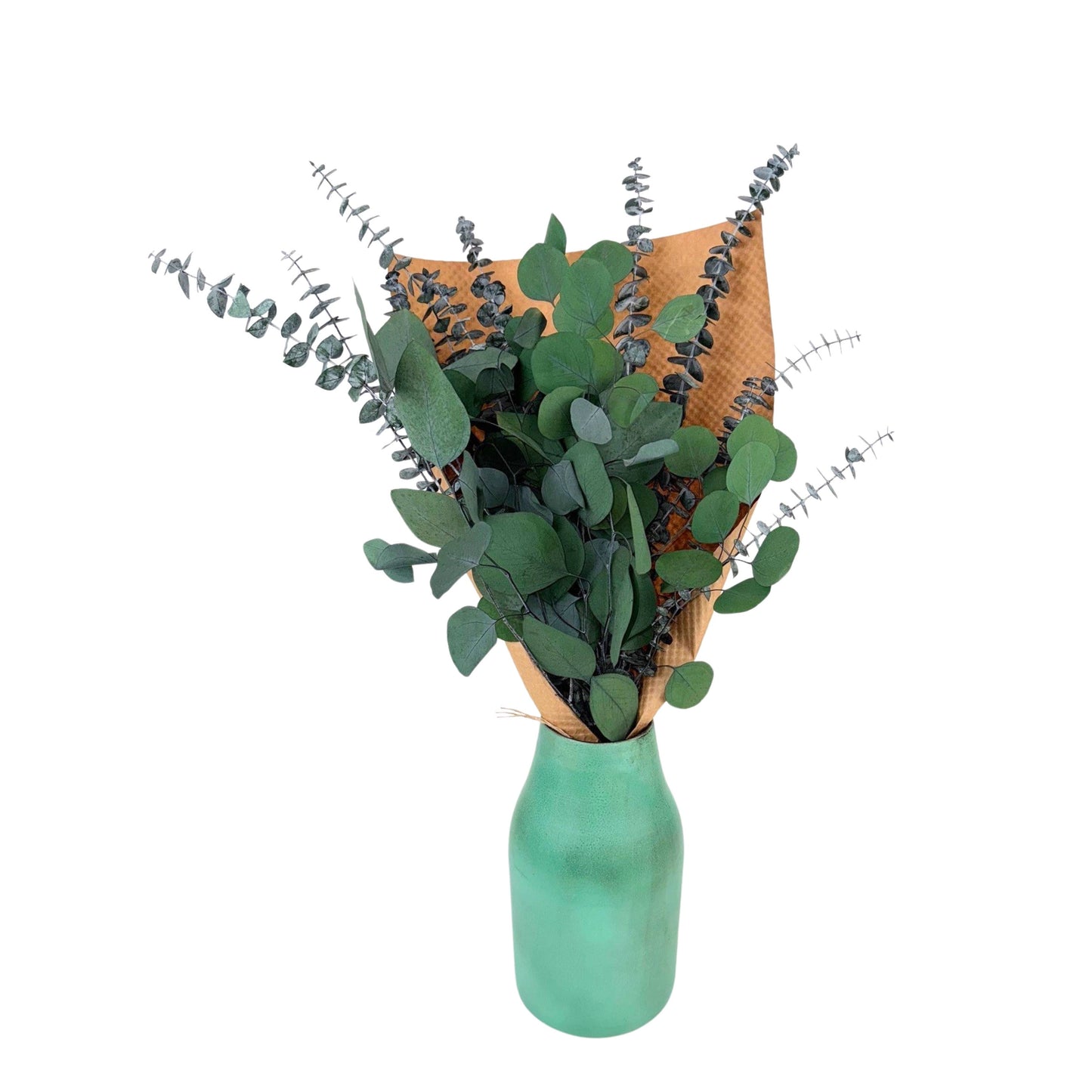 Silver Dollar & Baby Eucalyptus 8 ounce Preserved Bundle