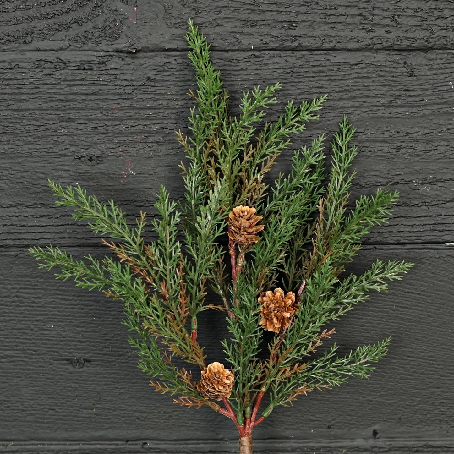 Dark Green Country Cypress Pine w. Pinecone