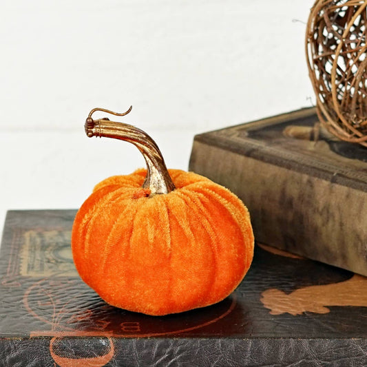 Orange velvet pumpkin w. golden stem