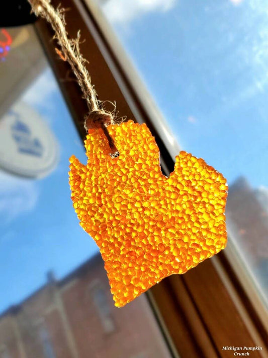Hanging Air Freshener - Michigan Pumpkin Crunch